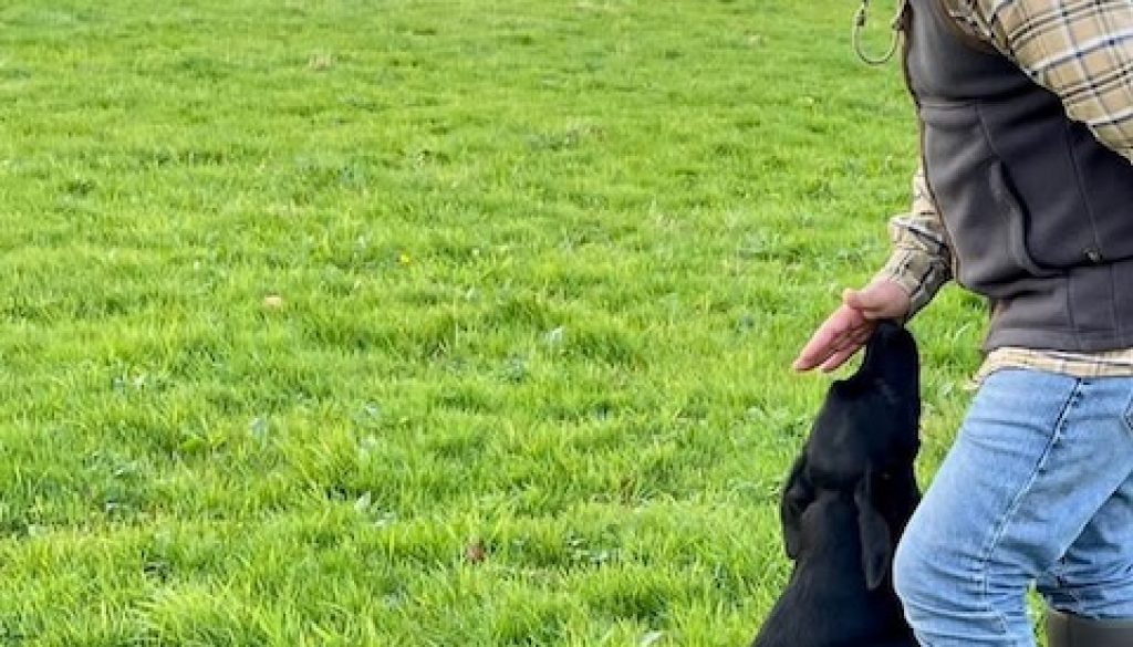 e059d33e-0e23-4434-bddd-91c264561320