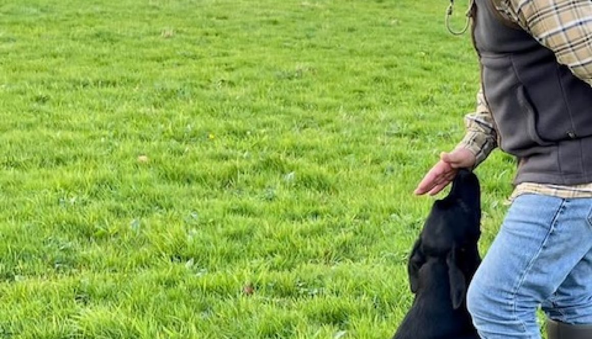 e059d33e-0e23-4434-bddd-91c264561320